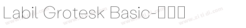 Labil Grotesk Basic字体转换